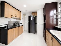 The Tanamera (D16), Condominium #595551821